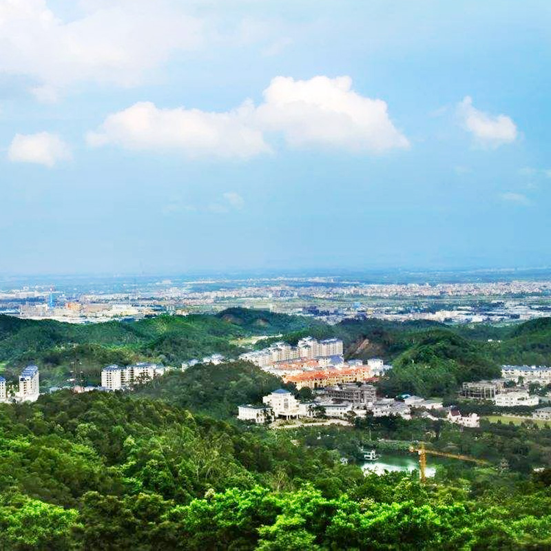 龍門(mén)城市圖2