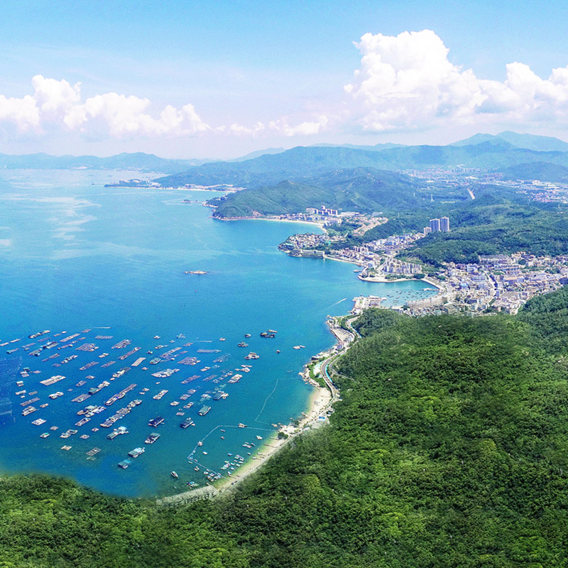 大鵬城市圖